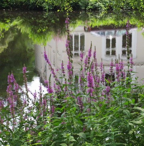 Schlossgarten